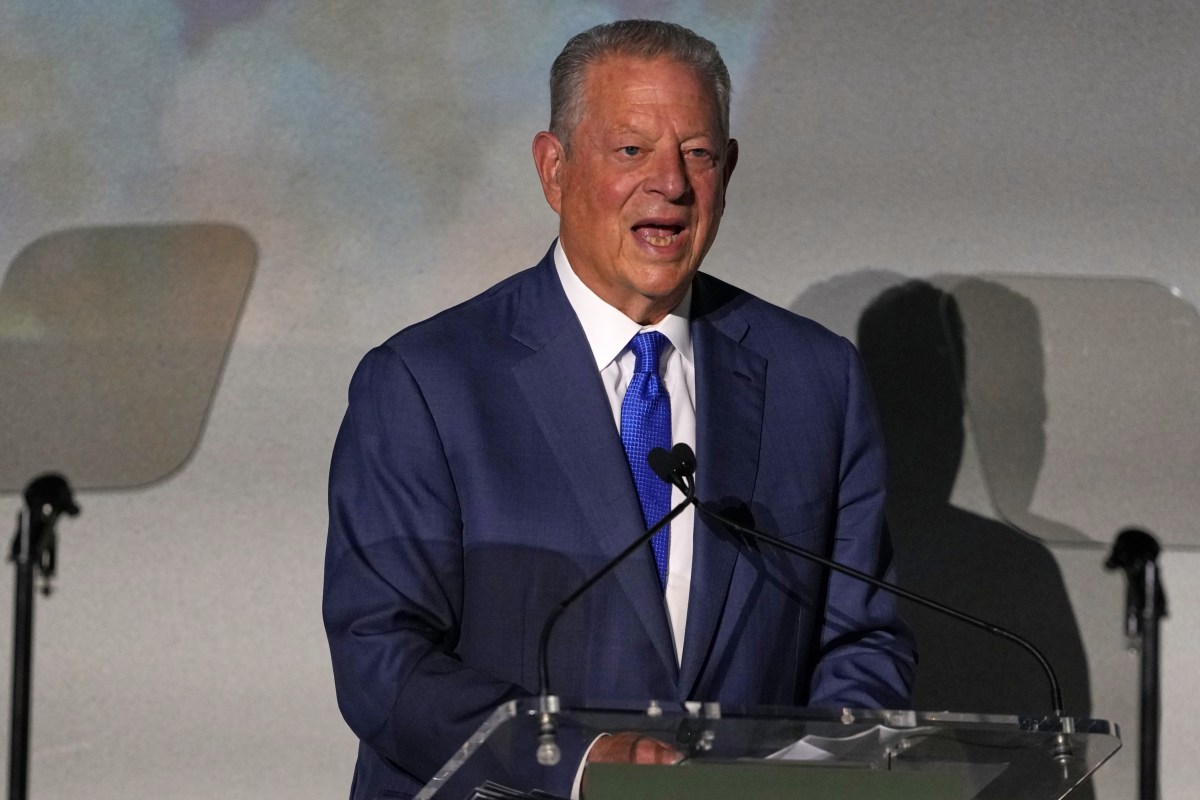 Gore: Real AI Risk Isn’t Data Centers