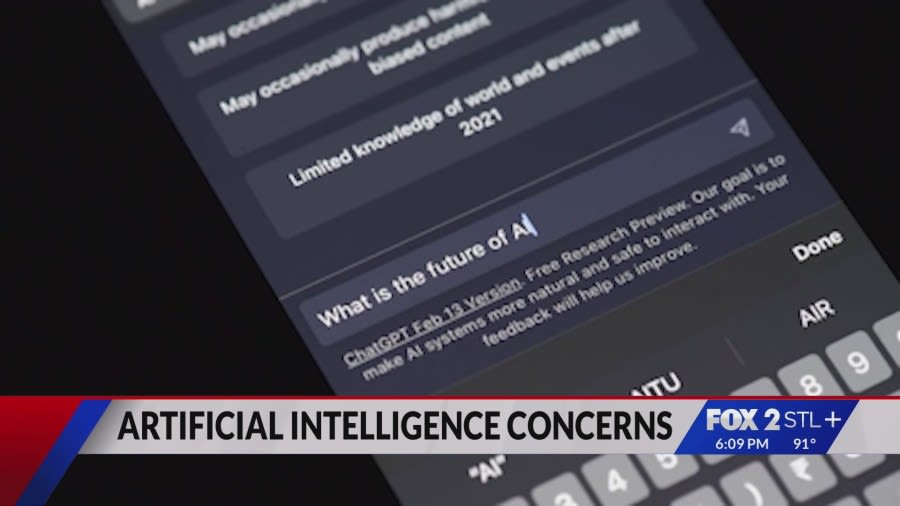 Navigating AI risks for the public