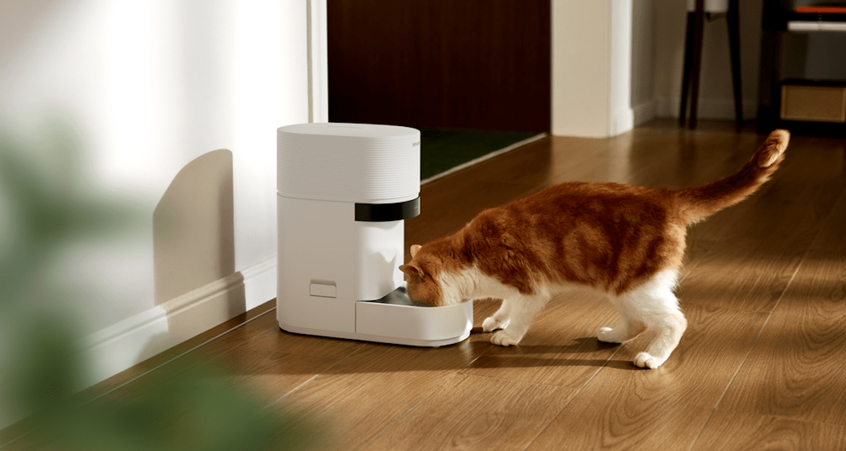 Petlibro launches Granary 2 AI smart feeders for multi-cat homes