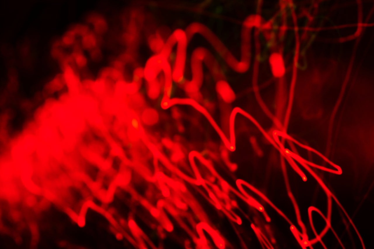Engineer Builds 'AI Torture Chamber' to Test Model Pain Perception, Sparking Controversy