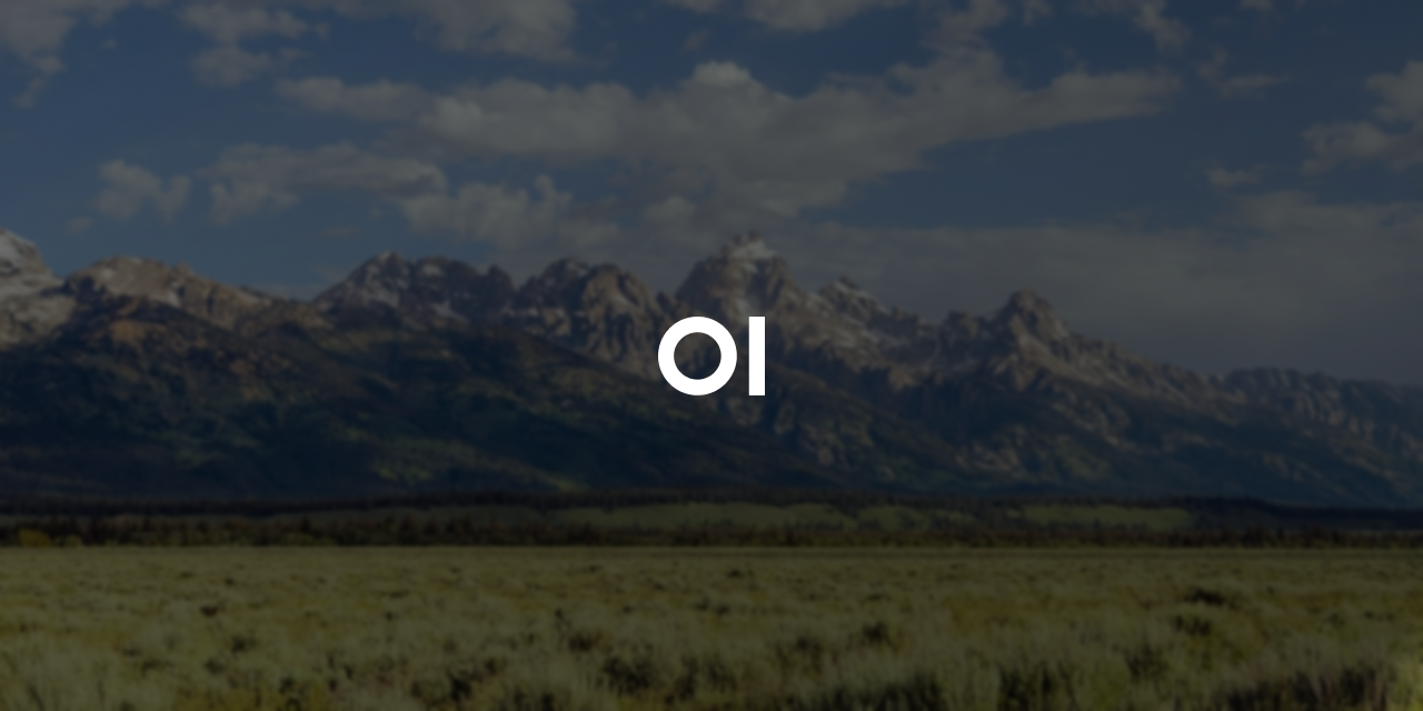 open-webui/open-webui