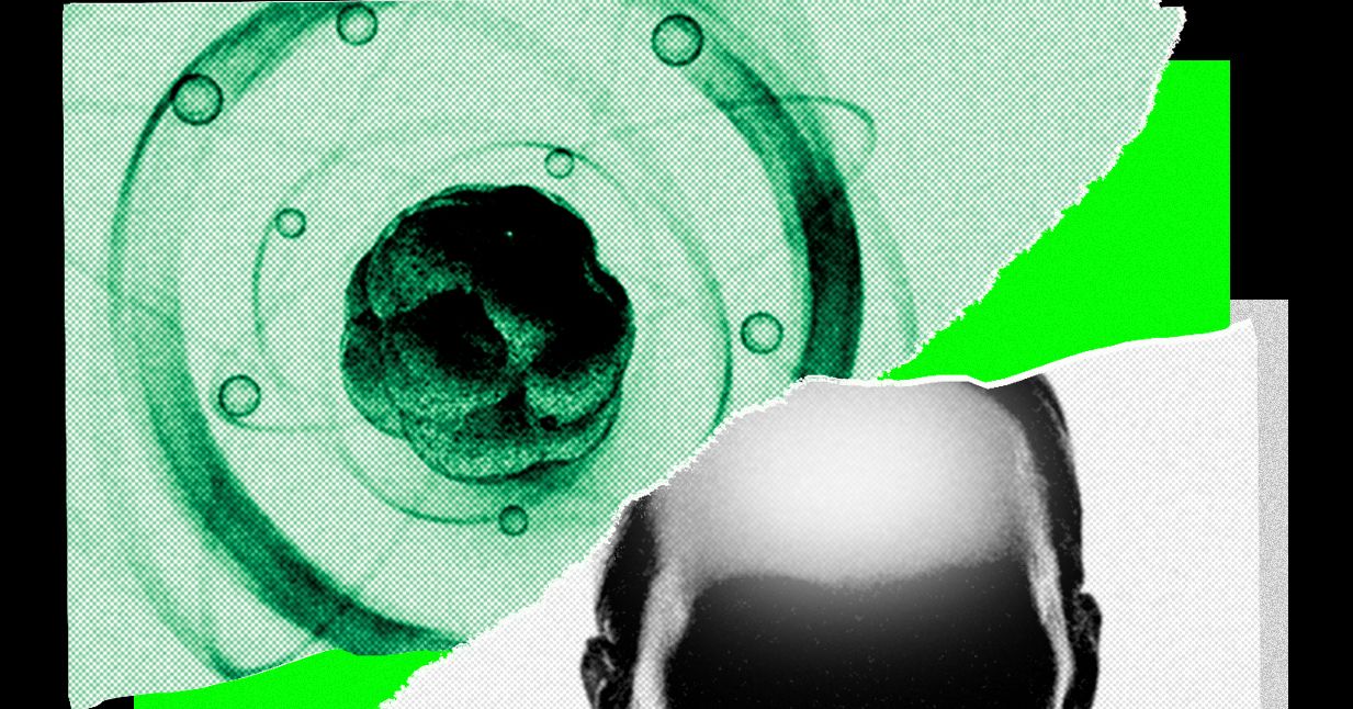 AI已攻克数学，正向其他科学领域扩展