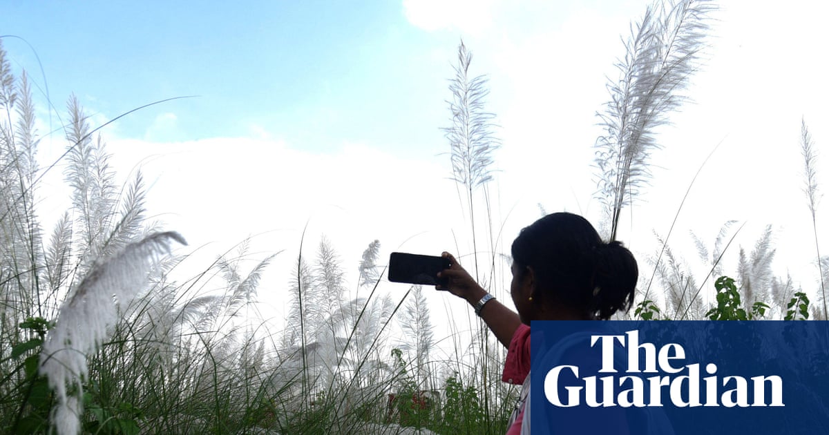 World Bank urges developing countries to build 'small AI'