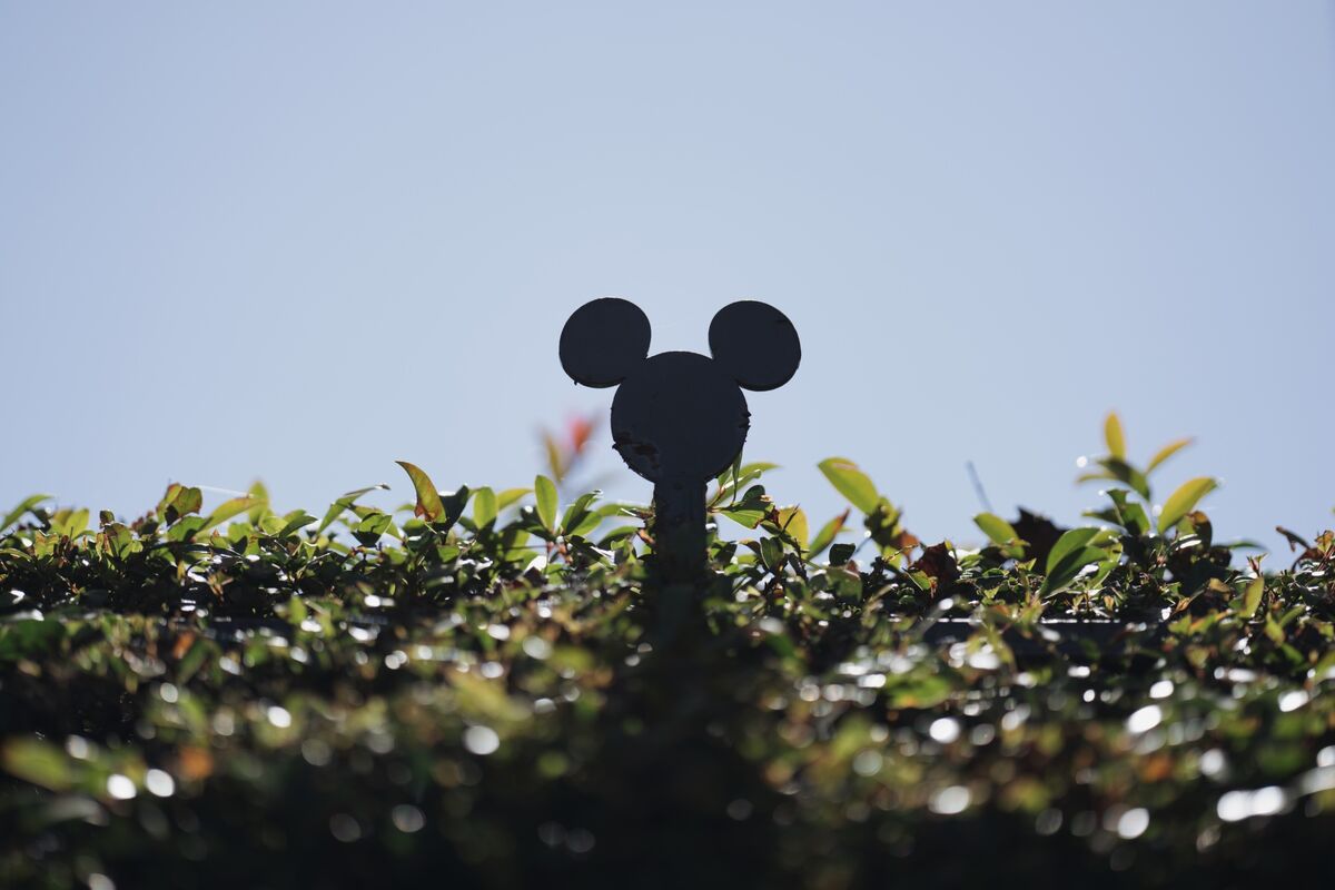 Judge says Character must hire privacy ombudsman for Disney deal